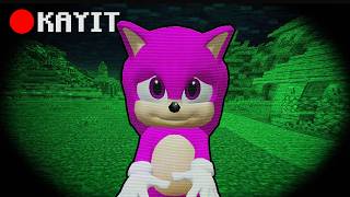 Minecraft'ta Kız Bebek Sonic Gerçek Mi?