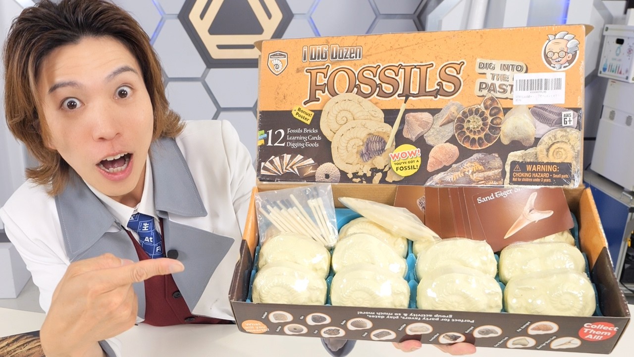 Do Amazon's fossil excavation kits contain rare fossils? I opened