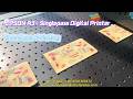 Single-pass Digital Printer for envelopes printing #singlepassprinter #digitalprinter #printing