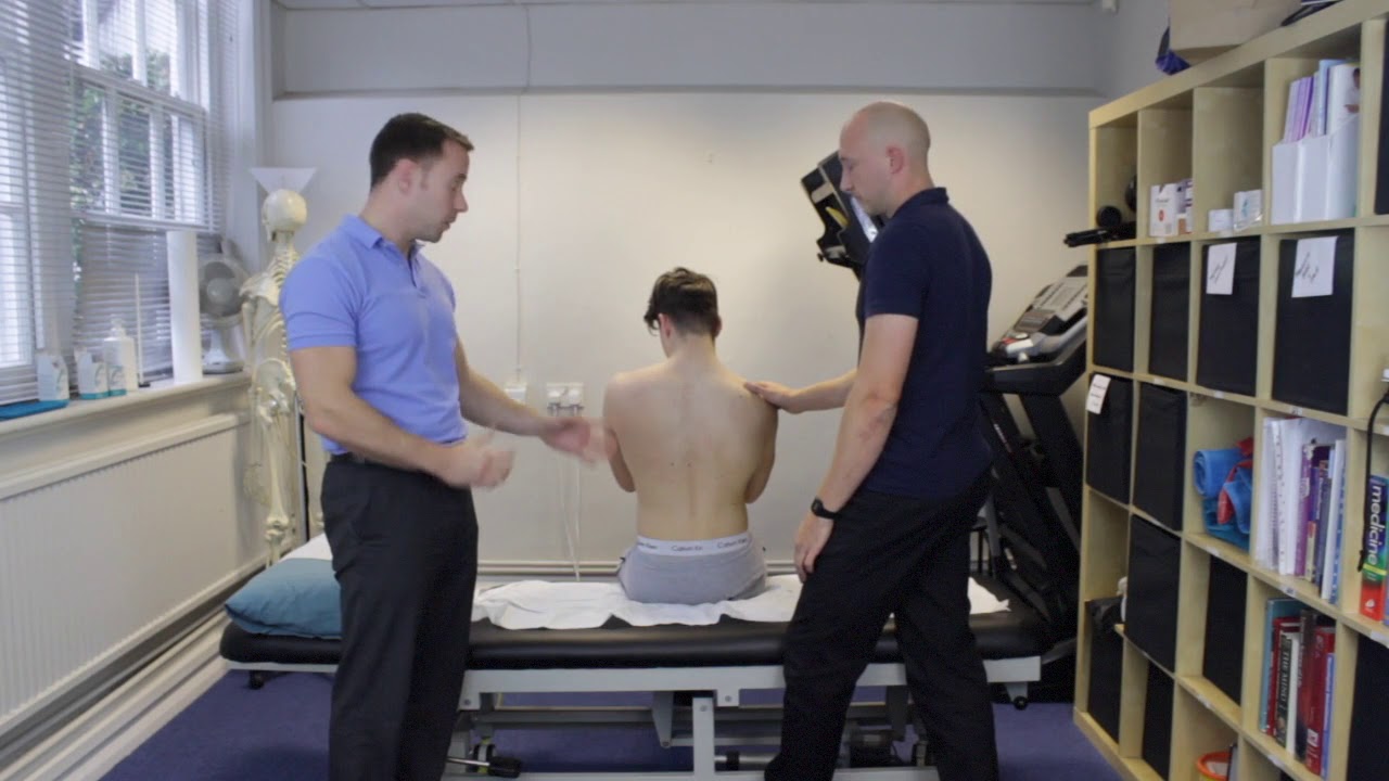 Грудной отдел MWM SNAGS