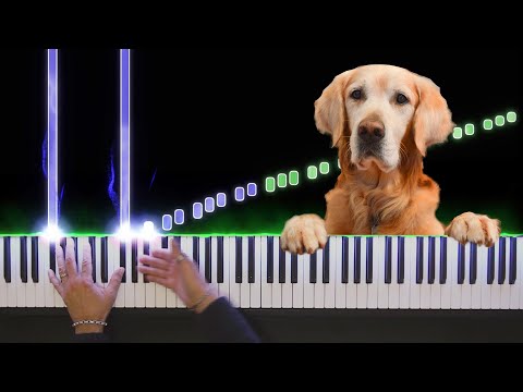 Video: Cách Chơi Dog Waltz Trên Piano