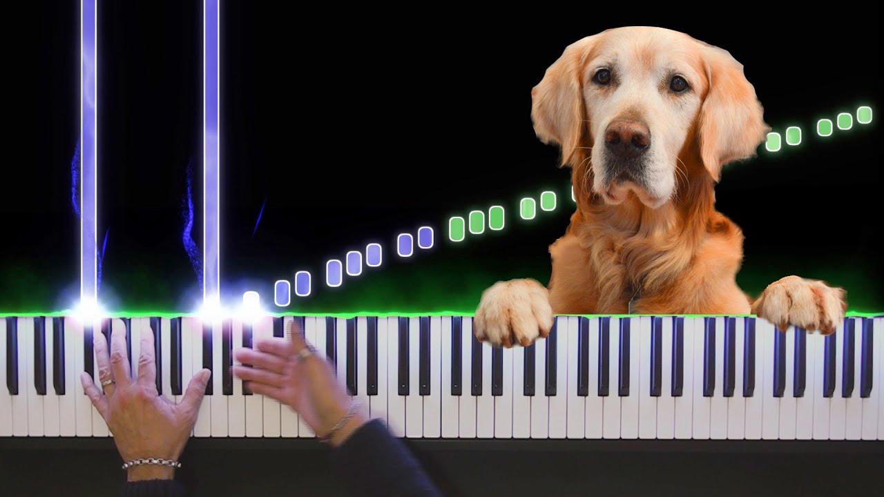 Собачий вальс картинка на пианино. Собака на пианино. Собачий вальс. Собачий вальс на пианино. Собака играет на синтезаторе.