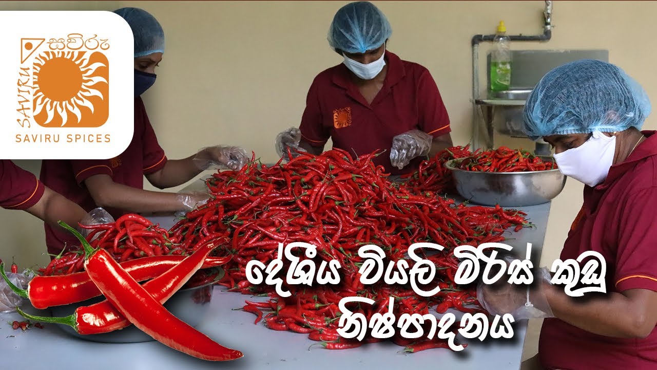 How is chili powder made in Sri Lanka? Saviru Spices Srilanka