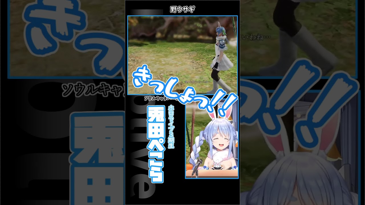 これが野ウサギ…