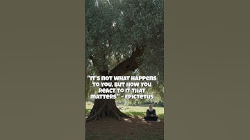 Master Your Reactions |  Epictetus on Unshakable Inner Power