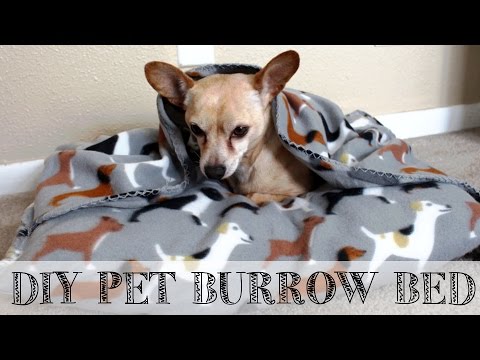 diy-10-minute-pet-snuggle-bed-|-#diywithshaina