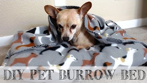 DIY 10 minute Pet Snuggle Bed | #DIYwithShaina