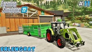 Rolling grass, sowing barley, building new cowshed | Erlengrat Farm | Farming simulator 22 | ep #11 screenshot 1