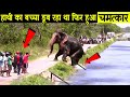 हाथी की जान बचाने के लिए लोगो ने जो किया वो दिल जीत लेगा | An Elephant Rescues By Humans