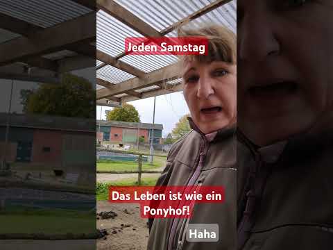Stallarbeit mit Freude