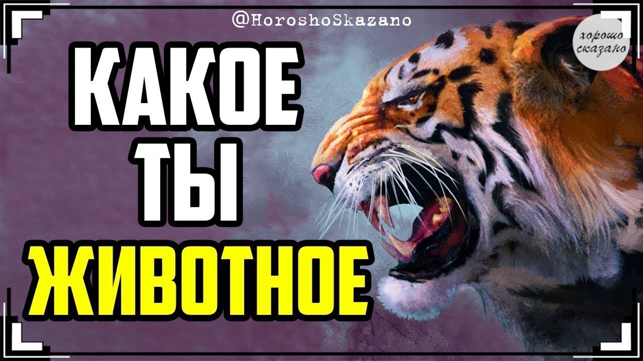 Тест: Какое ты животное? Какой характер человека соответствует ...