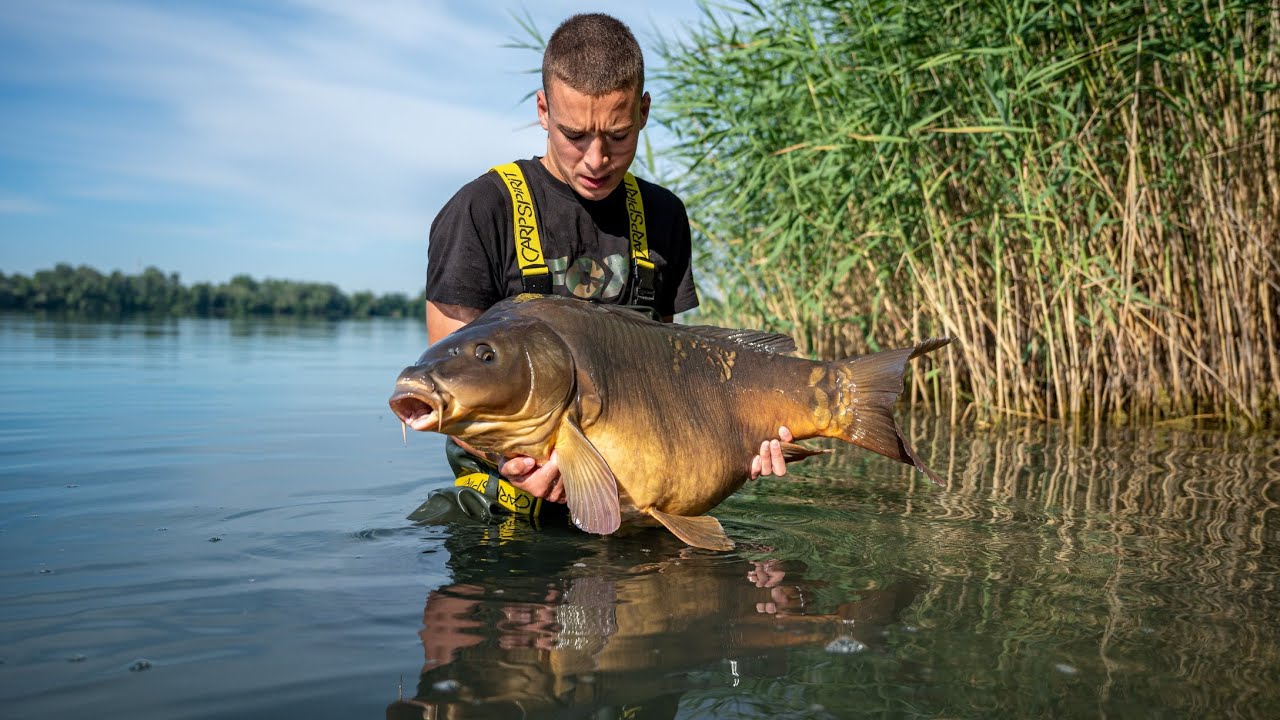 Dupla 20+ Gyékényes (Mono Carp Team)