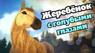 картинка: РОЖДЕНИЕ ГОЛУБОГЛАЗОГО ЖЕРЕБЁНКА  и НОВЫЙ ДОМ -  ARK: Survival Evolved - 4 серия