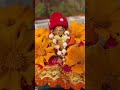 राधे राधे ✨️🙏🦚 #trending #viral #subscribe #krishna #radhekrishna #shortsfeed #radheradhe #radha