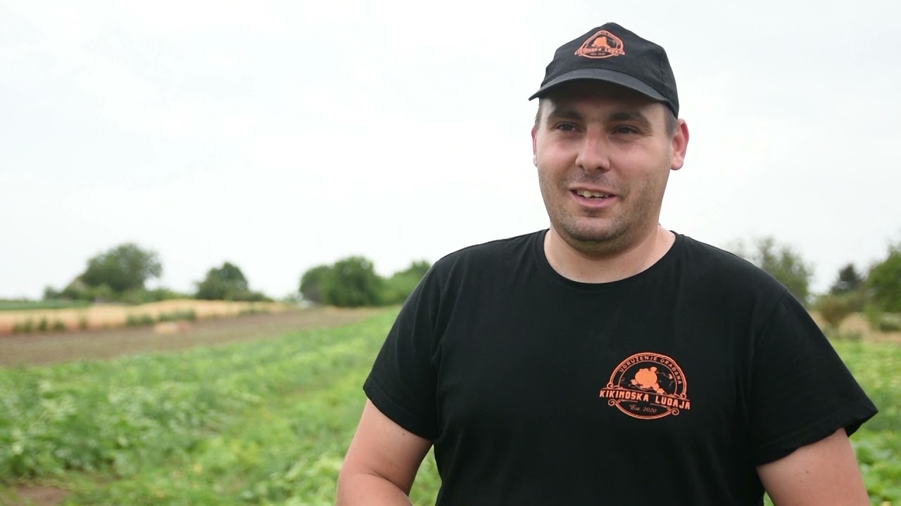 RASTE KAO LUDA!!! Kikinda - PRESTONICA LUDAJE - proizvodnja i trendovi u uzgoju ludaje