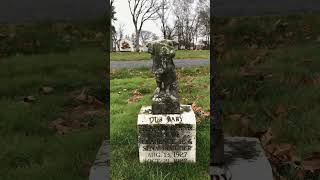 Rest In Peace Baby Clarence #shorts #graveyards