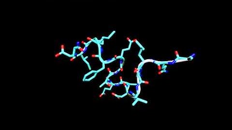Force field comparison: Single peptide using Amber99SB*