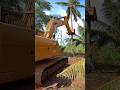 Excavator Machine Work in Coconut Garden | JCB Farm Cleaning #trending #shorts