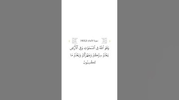 سورة الأنعام ٣