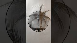 Circle Palm Tree Pencil Drawing | Realistic Shading Sketch