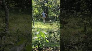Pug Mark Trail | Self Guided Soft Trekking | Thekkady | #thekkady screenshot 3