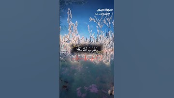 سورة: النحل 🌹 القارئ: فارس عباد|