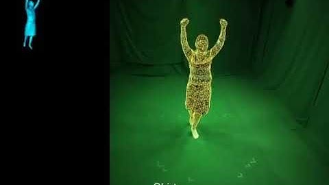 Motion Capture Using Joint Skeleton Tracking and Surface Estimation