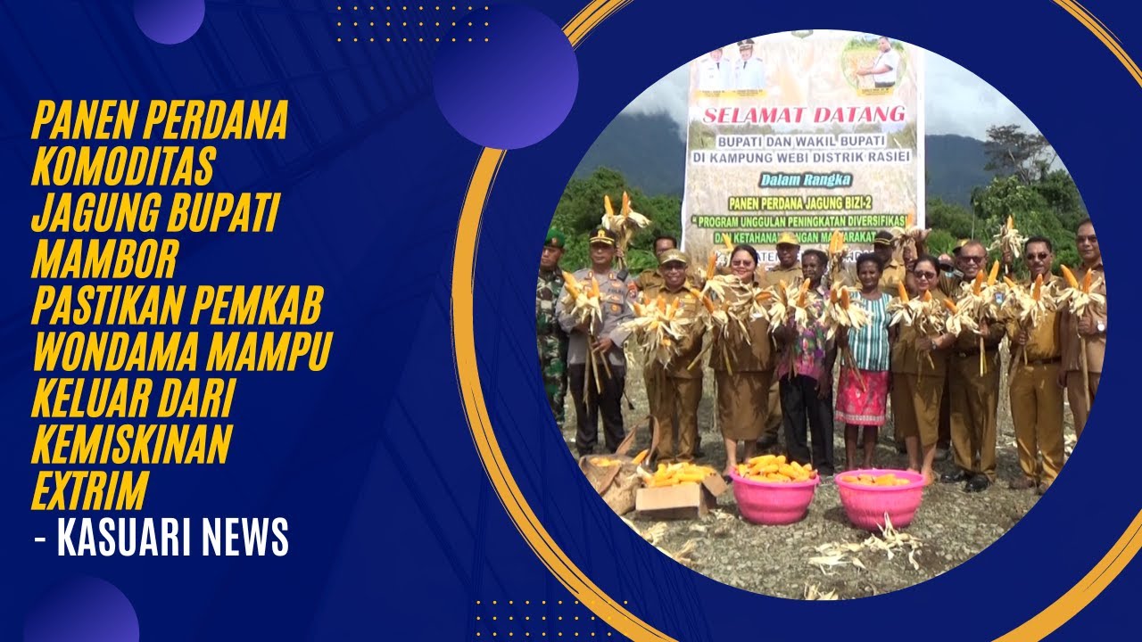 KASUARI NEWS - PANEN PERDANA KOMODITAS JAGUNG BUPATI MAMBOR PASTIKAN PEMKAB WONDAMA