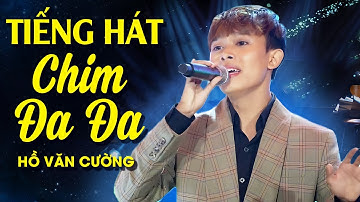 Tiếng Hát Chim Đa Đa - Hồ Văn Cường | Mây Saigon | Official Video Music