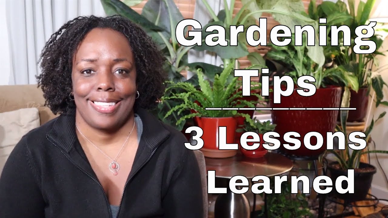 Gardening Tips | 3 Lessons Learned - YouTube