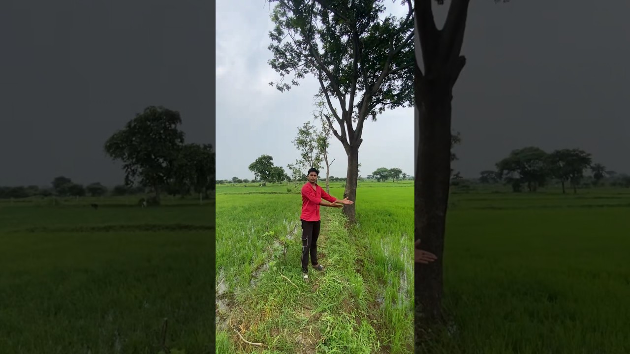 खेतों ka kaam 😅 #shorts #shortsfeed #youtubeshorts