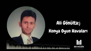 Ali Gönültaş _ Mevlana Resimi