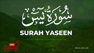 Surah yaseen heart touching videos qurantilawat quranrecitation ❤️‍🔥✨️💫#islamicvideos #qurantilawat