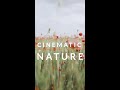 Cinematic NATURE (#Shorts ) | Travel Video #travelvideo | SKY Travel #skytravel