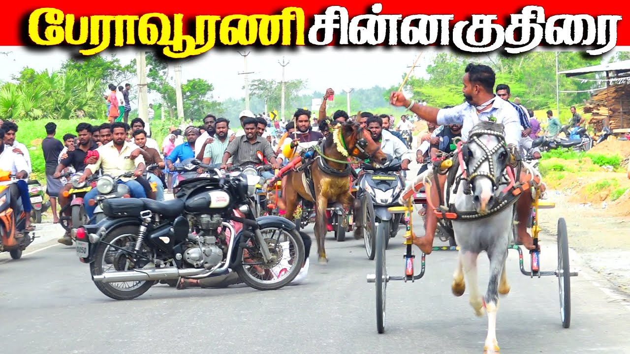 பேராவூரணி சின்னகுதிரை 27.01.2026