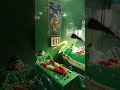 Dargah Sharif Banur