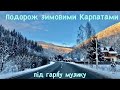 Подорож зимовими Карпатами 🏔🚙🏔 під гарну музику