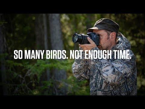 Shooting Wildlife with Markus Varesvuo with EOS 90D