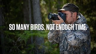 Shooting Wildlife with Markus Varesvuo with EOS 90D