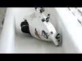 Canadian bobsled crashes, speeds down course | CBC Sports
