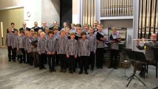 Video thumbnail of "Veteraanin iltahuuto, Kiiminki Boys' Choir"