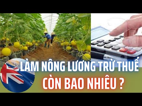 Video: Chi Tiền Lương đầu Tiên Của Bạn Vào Việc Gì