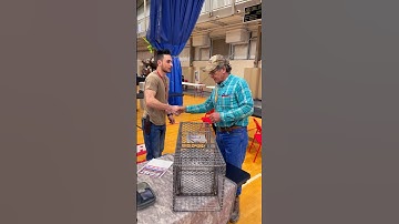 Is This The Best Bushcraft Trap? #bushcraft #survival #trapping