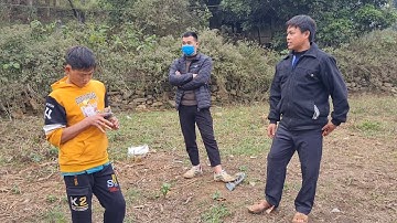 Định Hướng Mới Cho Em Tủa (Cậu Bé Lang Thang Từ Nhỏ)và Báo Mất Đồ |Cói Lalin