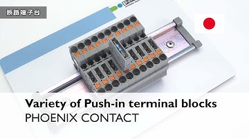 The variety of Push-in terminal blocks