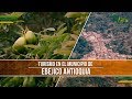 Turismo: Municipio de Ebejico Antioquia - TvAgro por Juan Gonzalo Angel