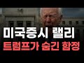 [미국주식] 미국증시 랠리 트럼프가 숨긴 함정![엔비디아, 테슬라, 아이온큐, 브로드컴, 애플]