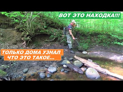 Видео: Я о ТАКОЙ НАХОДКЕ и МЕЧТАТЬ не МОГ!!! КОПАЛ ВСЕ ПОДРЯД! ОФИГЕННЫЙ РЕЗУЛЬТАТ!