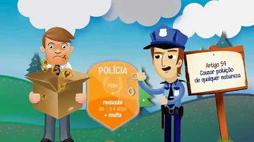 Como funciona o processo ambiental?