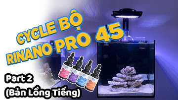 [Part 2] Hướng Dẫn Set-Up Hồ Nuôi Cá Nemo "Chuyên Nghiệp" || Set Vi Sinh Infinity - Made In Việt Nam